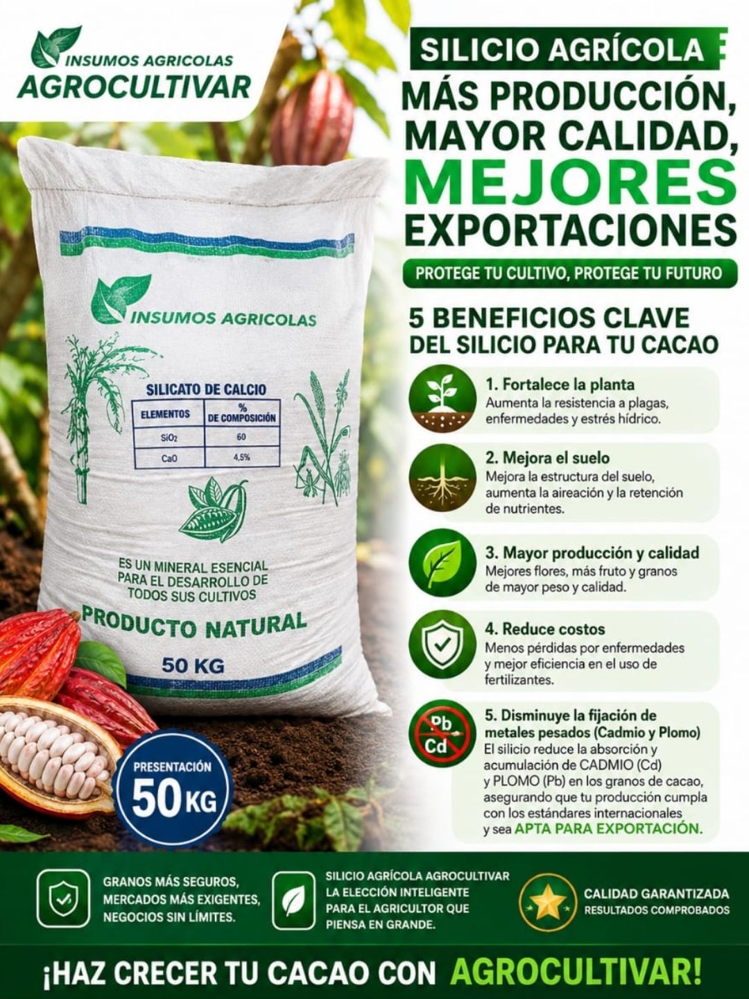 Post de Instagram Servicio de Traslado Profesional Azul (2)