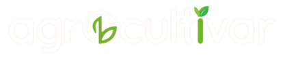 DC6327-1-e1720797217125.png